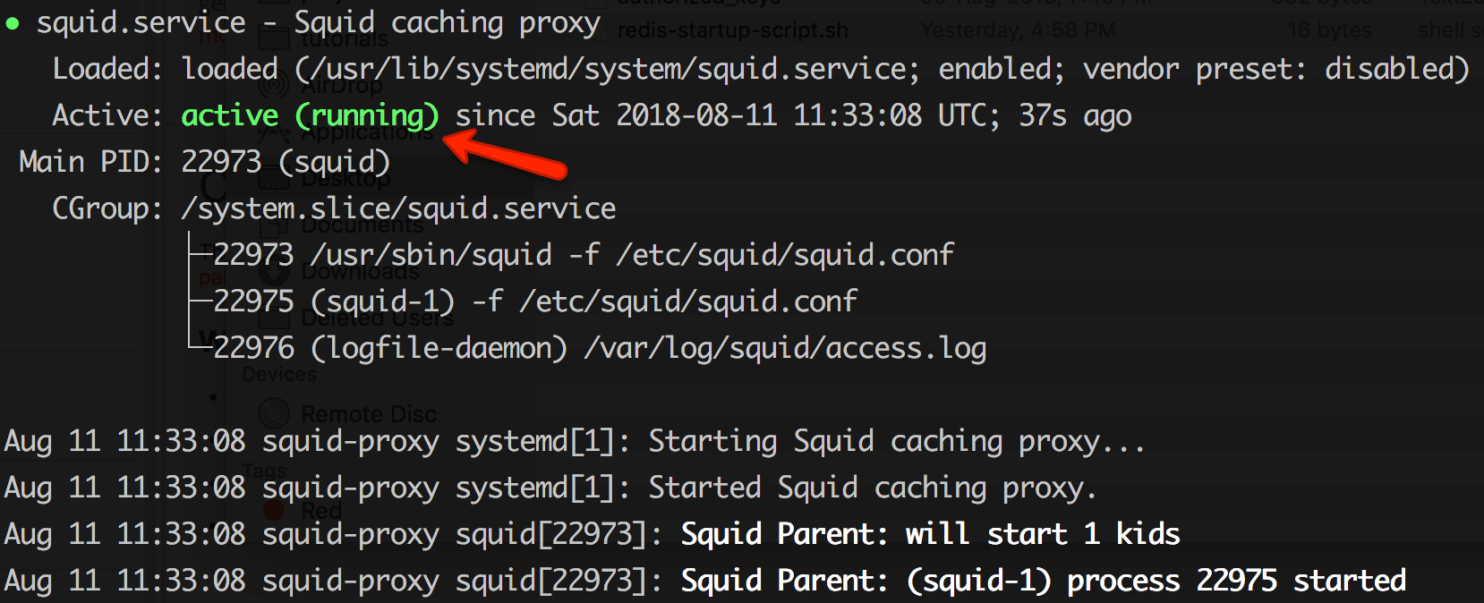 Mastering Squid Configuration